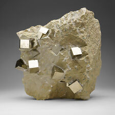 Genuine Pyrite Cubes on Basalt From Navajun, Spain (34.5 lbs) picture