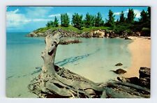 A Secluded Beach in Somerset Bermuda Vintage Postcard BRY23 picture