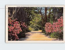 Postcard Azaleas & Spanish Moss Bellingrath Gardens Mobile Alabama USA picture