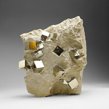 Genuine Pyrite Cubes on Basalt From Navajun, Spain picture