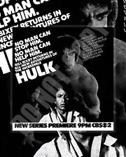 1978 The Hulk TV Show Series Premiere Magazine Guide Promo Ad Art 8x10 Photo picture