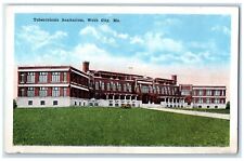 c1920 Exterior View Tuberculosis Sanitarium Building Webb City Missouri Postcard picture