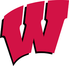 Wisconsin Badgers NCAA College Team Logo 4