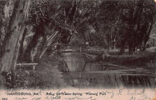 Along the Indian Spring, Paxtang Park, Harrisburg, PA., postcard, used in 1907 picture