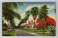 Palm Beach FL-Florida, Royal Poinciana, Palm Trees, c1945 Vintage Postcard picture