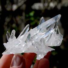 3.9in 112g Cosmic Grounding Lemurian Silver Quartz Crystal Starbrary Cluster Opt picture