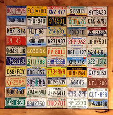 Complete 50 State License Plate Collection in Good Condition picture