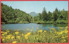 Table Rock River Lake Grove Flowers Western North Carolina NC 1950s Postcard picture