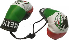 Mexico Boxing Glove Banner Flag Window Mirror Mexican Pride picture