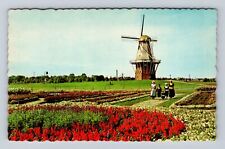Holland MI-Michigan, De Zwaan Windmill, Antique, Vintage Souvenir Postcard picture