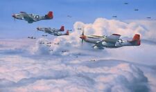 Fighting Red Tails by Robert Taylor signed by Charles McGee & Tuskegee Airmen picture
