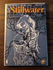 STILLWATER #1 SECOND PRINT COVER A HARD TO FIND. Signed Ramon Perez picture