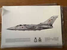 Raf Squadron Print Tornado F.3 ZE156 AM 229 Operational 65 Dugald Cameron picture