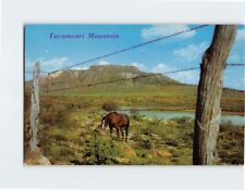 Postcard Tucumcari Mountain, Tucumcari, New Mexico picture