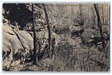 c1910 Salt Petre Caves Forest Trees Richmond Dale Ohio Vintage Unposted Postcard picture