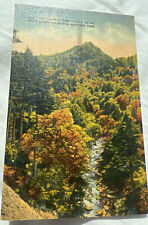 Vintage Postcard Great Smoky Mountains National Park The Chimney Tops 1940’s picture