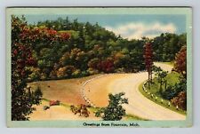 Fountain MI-Michigan, Scenic Greetings, c1945 Vintage Souvenir Postcard picture