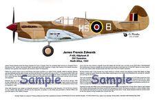 Stocky Edwards, Franz Stigler, P-40 Tomahawk, Bf-109F Posters, Artist, E Boyette picture