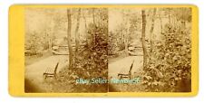 Lake Mohonk NY - FOREST WALK NEAR HOTEL - c1870s Stereoview Ulster County picture