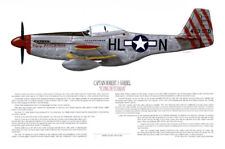P-51D Art autographed by Mustang Ace, Robert Goebel, Artist Ernie Boyette picture