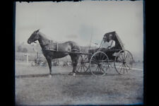 Antique 4x5 Inch Plate Glass Negative Of Two Men On A Buggy With Horses E13 picture