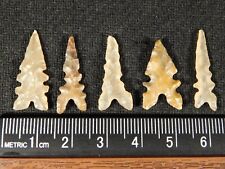 Lot of FIVE Ancient ECCENTRIC AAA  Tidikelt Arrowheads 2.63 picture