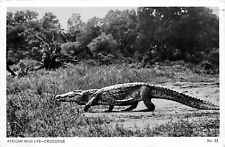 Postcard RPPC 1960s Africa Kenya Uganda Crocodile FR24-2230 picture