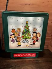 PEANUTS MERRY CHRISTMAS LIGHTED BOX INDOOR/OUTDOOR USE NWT picture