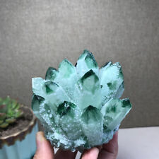 440g New Find Green Phantom Quartz Crystal Cluster Mineral Specimen 86mm A1028 picture
