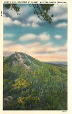 Hawks Bill Mountain Western North Carolina NC Postcard picture