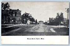 Tyler Minnesota Postcard Street Scene Buildings Road Trees 1908 Antique Unposted picture
