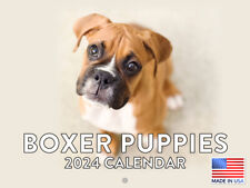Boxer Puppy Cute Dog 2024 Wall Calendar picture