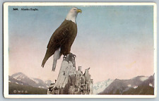 Alaska - Alaska Eagle - Vintage Postcard - Unposted picture