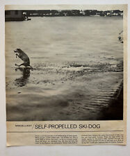 Image Photo Of A Dog Water Skiing Cypress Gardens 1967 Life Magazine Animals picture