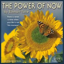 THE POWER OF NOW - ECKHART TOLLE - 2025 WALL CALENDAR - BRAND NEW - 891138 picture