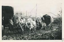 Photo Pk Wk II, Soldiers Truck, Horse Carriage Wagon Russia Россия B 1.64 picture