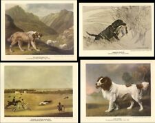 BRITISH DOGS Book A CROXTON SMITH 1st ed 2nd Imp 1946 Illustrated 8 Colour Pages picture