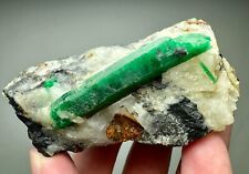 186 Gr. Well Terminated Top Green Panjsher Emerald Huge Crystal On Matrix @Afg picture