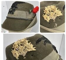 Original WWII Royal Italian Alpine Regiment Hat With 80 Year Old Edelweiss￼ picture