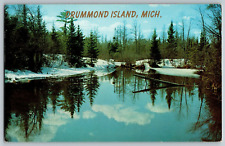 Drummond Island, Michigan - Vacationland Scene - Vintage Postcard - Unposted picture