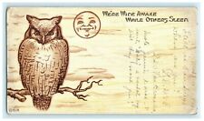 Rare Oversized 1905 Owl Anthropomorphic Moon San Diego CA Antique Postcard picture