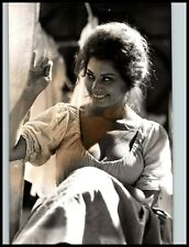 Glamorous Italian Beauty Sophia Loren Orig 1960s DALMAS AGENCY VINTAGE Photo 362 picture