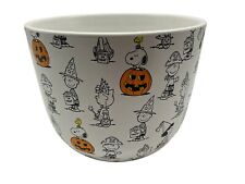 Peanuts Halloween Candy/Serving Bowl Featuring SNOOPY Collectible Holiday Decor picture