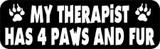 10in x 3in My Therapist Has Paws and Fur Magnet picture