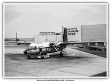 Bonanza Air Lines Flight 114 Aircraft picture