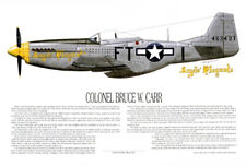 P-51D, Mustang Ace, Bruce Carr, Artist, E. Boyette picture