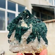 400g Natural Green Tourmaline Gemstone Crystal Mica Symbiosis Specimen Reiki picture
