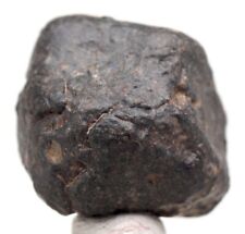 NWA 869 Chondrite Meteorite Individual Specimen Stony Iron NORTHWEST AFRICA picture