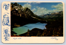 Vintage Postcard Peyto Lake Canadian RockiesBanff Jasper picture