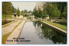c1950's State Fish Hatchery Management Station Wild Rose Wisconsin WI Postcard picture